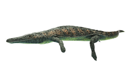 3d rendered illustration of an archegosaurus