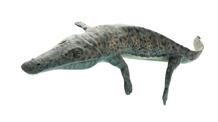 3d rendered illustration of an archegosaurus