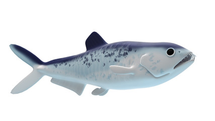 3d rendered illustration of an enchodus