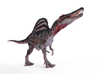 Obraz na płótnie Canvas 3d rendered illustration of a spinosaurus