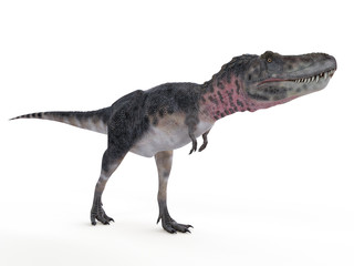 3d rendered illustration of a tarbosaurus © Sebastian Kaulitzki