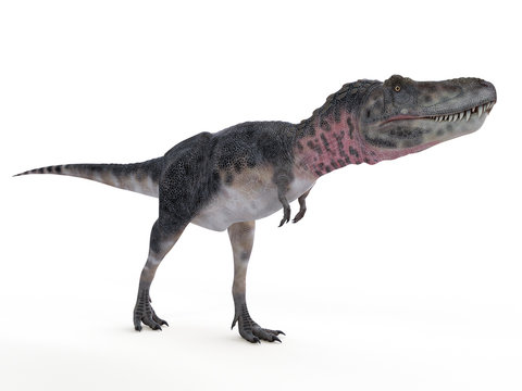 3d rendered illustration of a tarbosaurus