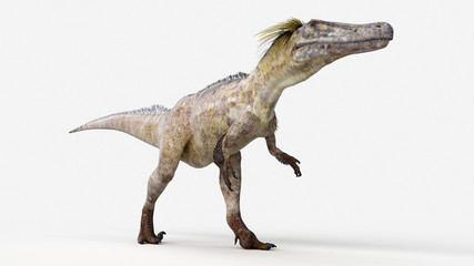 3d rendered illustration of a austoraptor