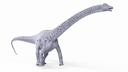 3d rendered illustration of a diplosaurus