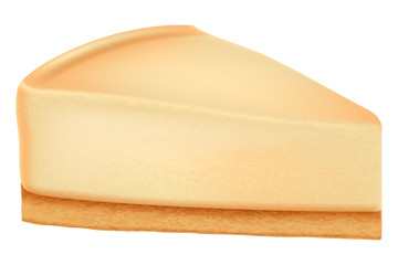 Piece of New York cheesecake or classic cheesecake. Vector illustration.