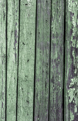 Vintage painted wooden background texture of wooden weathered rustic wall with peeling paint. Empty space for copy old wood texture. Cracked paint with lots of small cracks, abstract grunge texture