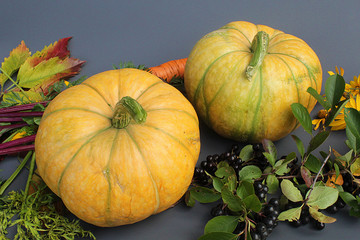 Autumn set of vegetables. GREY food background. Organic farm vegetables