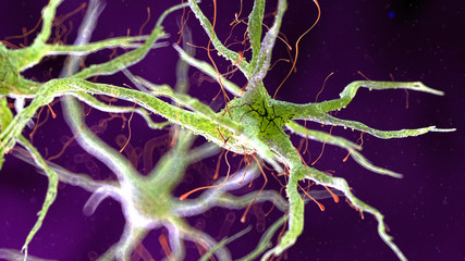 3d rendered medically accurate illustration of a human nerve cell