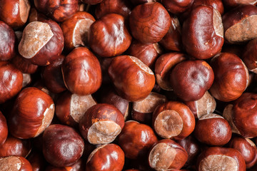 close up filled frame of chestnuts 