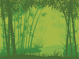 Fototapeta premium Scena lasu bambusowego