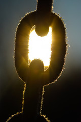 sun through chain link