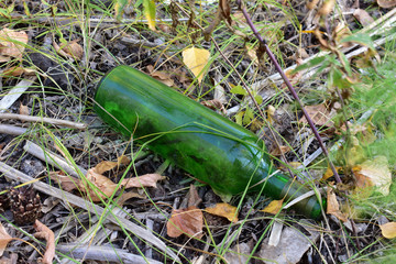 Obraz premium Garbage in the forest.