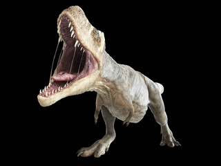 3d rendered illustration of a T-rex on black background © Sebastian Kaulitzki
