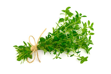 Isolated Bundle of Thyme (Thymus).
