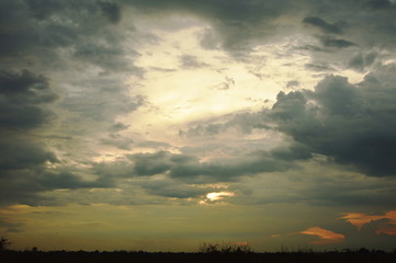 paddy field on sunset twilight sky background in Thailand countryside