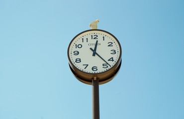 公園の時計