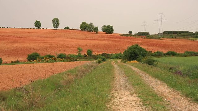 Vista  de  terrenos agricolas, en cuesta, arados recientemente y preparados para el cultivo. Con algun arbol disperso torres de electricidad y camino de tierra
