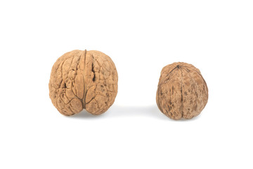 walnuts isolated on white background