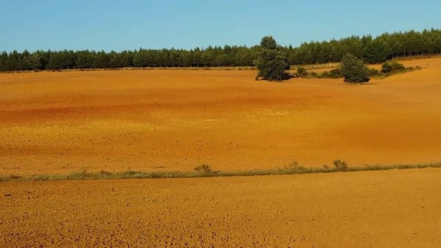 Terrenos agricolas en cuesta arados y preparados para el cultivo y coronados con una plantacion de pinos  

