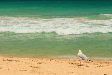 Scarborough Beach, Australia