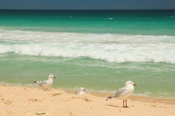 Scarborough Beach, Australia