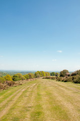 Fototapeta na wymiar Hergest ridge of England and Wales in the summertime.