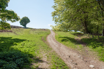 Fototapeta na wymiar Hergest ridge of England and Wales in the summertime.