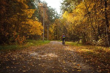 Obraz premium Golden autumn, yellow trees in sunlight, leaves underfoot. Walk through the fabulous autumn forest, Cycling through the yellow forest and the Golden alley