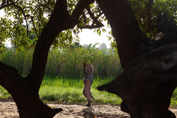 Africa, Benin: donna che porta casco di banane 