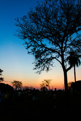 Campo Grande MS