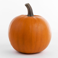 Obraz premium One orange pumpkin