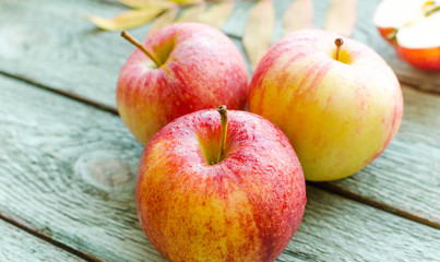 Red apples on turquoise wooden background. Autumn days.