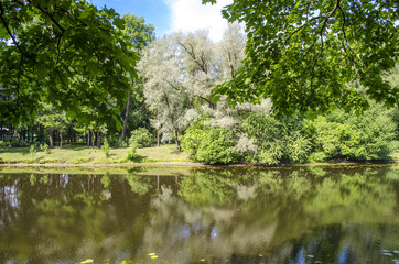 Shore of a quiet river in spring