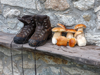 Porcini mushrooms and hiking boots on a bench