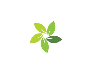 green leaf ecology nature element