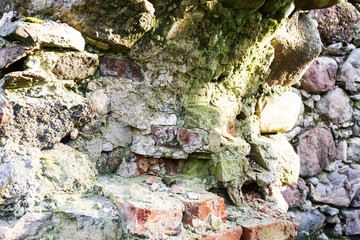 late fall. morning. the sun shines through the trees. stones in the swamp, a wall of stone building from time to time.