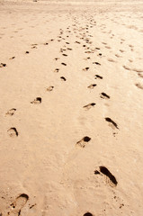 Footprints in the sand.