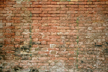 Brick wall texture