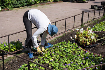 Gardener in the city park