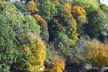 Autumn Landscape