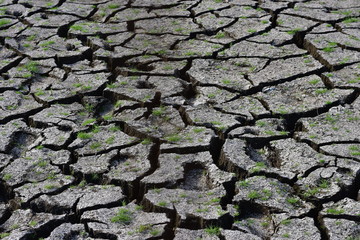 cracked ground