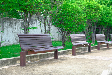 Wooden benches in public park.