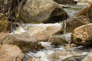 Forest stream among stones. Clean cold water stream in mountains