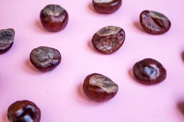 Geometric pattern with chestnut seeds, autumn pink background