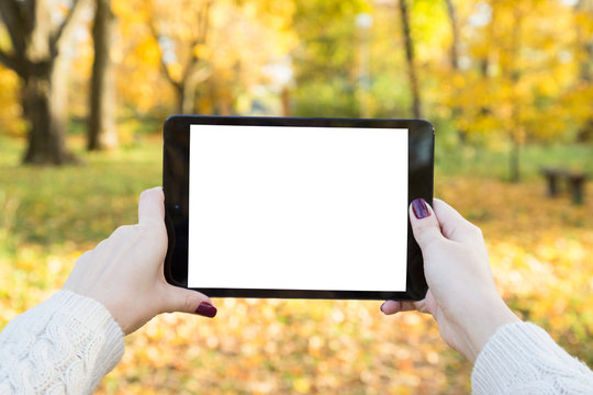 Girl takes a picture of autumn park on the tablet