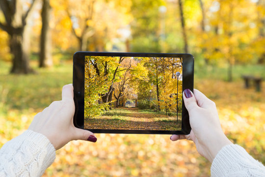 Girl takes a picture of autumn park on the tablet
