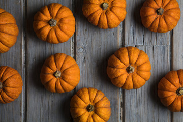 MIni pumpkins arranged on a rustic wooden background