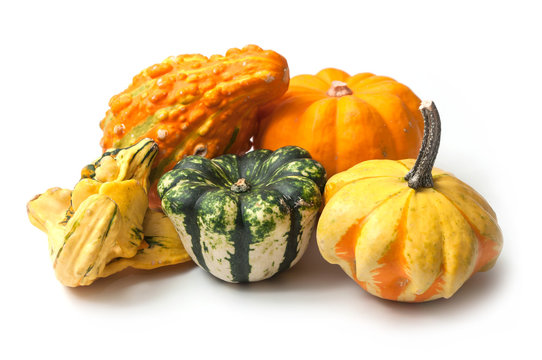 closeup of colorful gourds for halloween decoration on white background