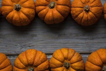 MIni pumpkins arranged on a rustic wooden background
