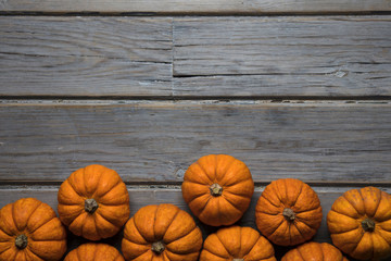 MIni pumpkins arranged on a rustic wooden background